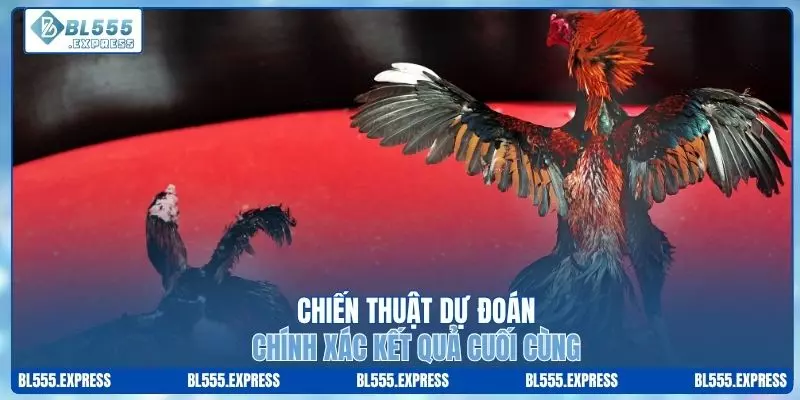 Chiến thuật giúp bạn dự đoán chính xác kết quả