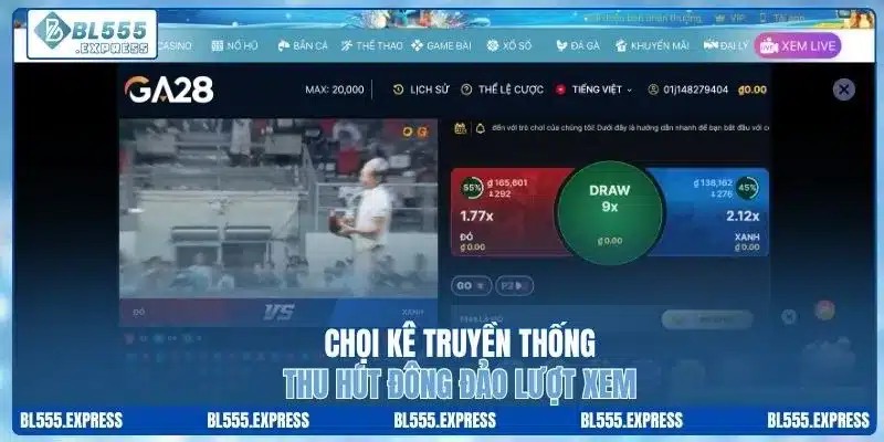 Chọi kê truyền thống thu hút đông đảo lượt xem