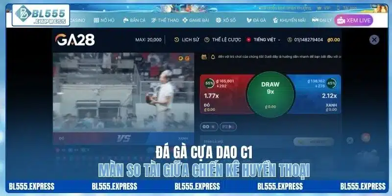 Đá Gà Cựa Dao C1 - Màn So Tài Giữa Chiến Kê Huyền Thoại