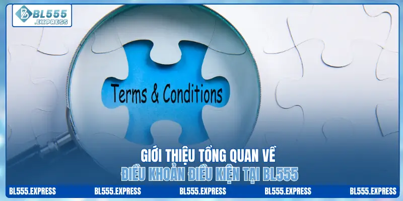 Giới thiệu tổng quan về điều khoản điều kiện tại BL555