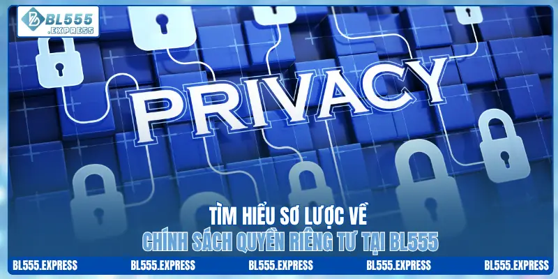 Tìm hiểu sơ lược về chính sách quyền riêng tư tại BL555